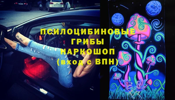 гидропоника Михайловск